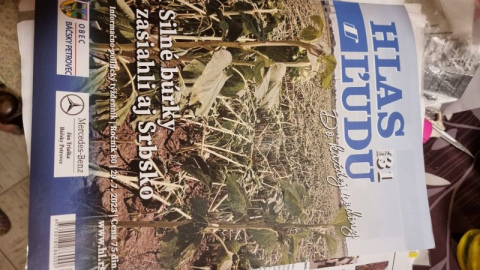 WhatsApp-Image-2023-08-01-at-22.06.57