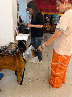 WhatsApp-Image-2025-07-08-at-21.04.35