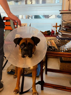 WhatsApp-Image-2025-07-08-at-21.04.38-1