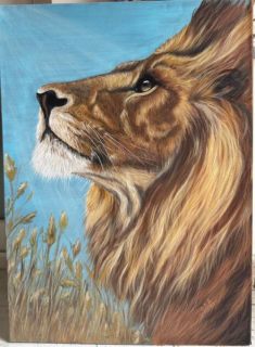 WhatsApp-Image-2026-02-25-at-08.47.08-3