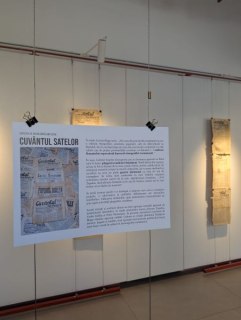 WhatsApp-Image-2025-09-18-at-23.21.14-3