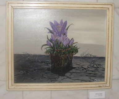 DSCF2134
