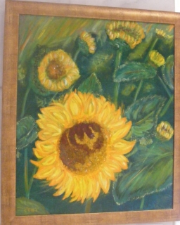 DSCF2146