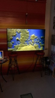 5BFF1F1C-C2AA-4F13-AE46-C70D9BDCC688