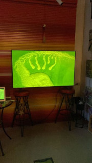 F66BD81A-5DDA-424B-9144-2ECE4450BF90