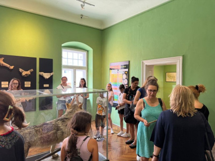 WhatsApp-Image-2025-06-27-at-20.09.13-1