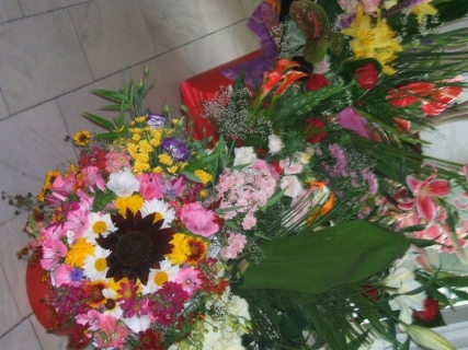 DSCF4662
