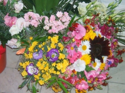 DSCF4663