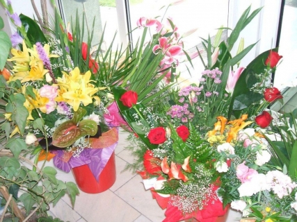 DSCF4664